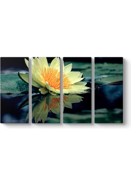 Sarı Nilüfer Çiçeği Tablosu