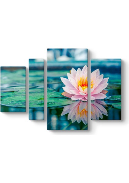 Pembe Nilüfer Tablosu