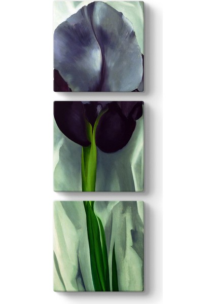 Georgia Okeeffe - Black Iris Tablosu