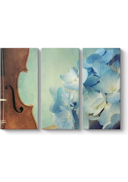 Keman ve Ortanca Çiçeği Tablosu