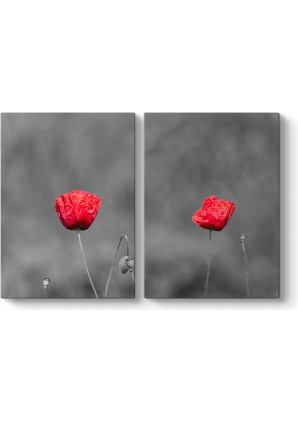 Kırmızı Gelincik Tablosu