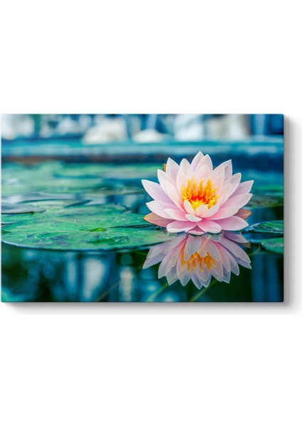 Pembe Nilüfer Tablosu