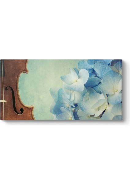 Keman ve Ortanca Çiçeği Tablosu