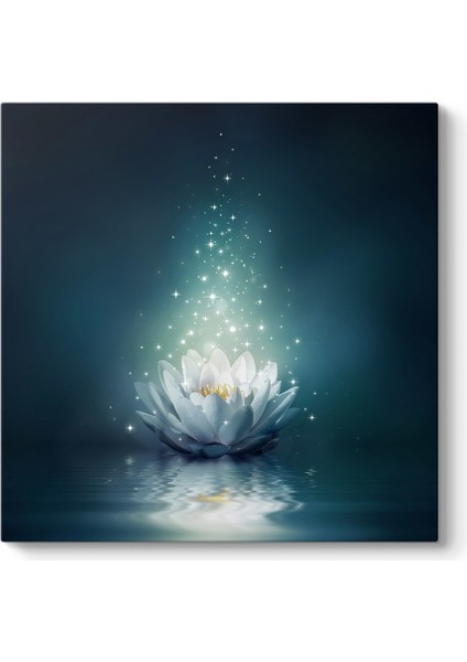 Işıltılı Turkuaz Nilüfer Tablosu