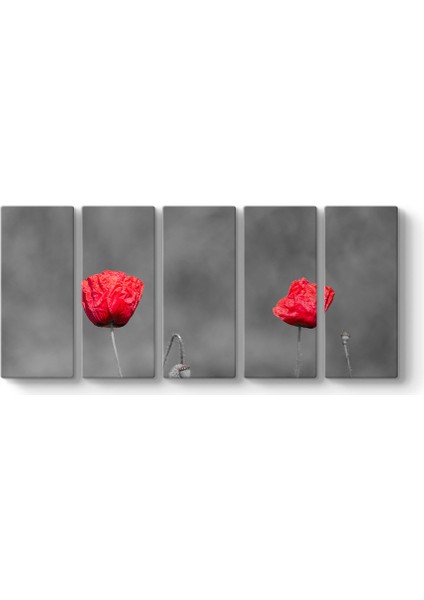 Kırmızı Gelincik Tablosu