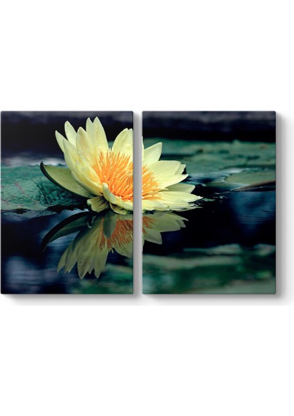 Sarı Nilüfer Çiçeği Tablosu