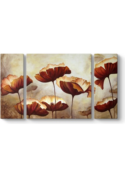 Boyama Gelincikler Tablosu