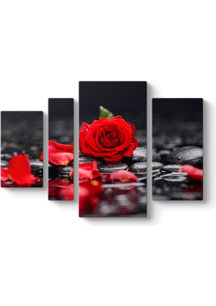 Kırmızı Gül ve Yaprakları Tablosu