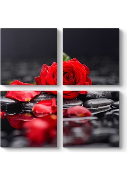 Kırmızı Gül ve Yaprakları Tablosu