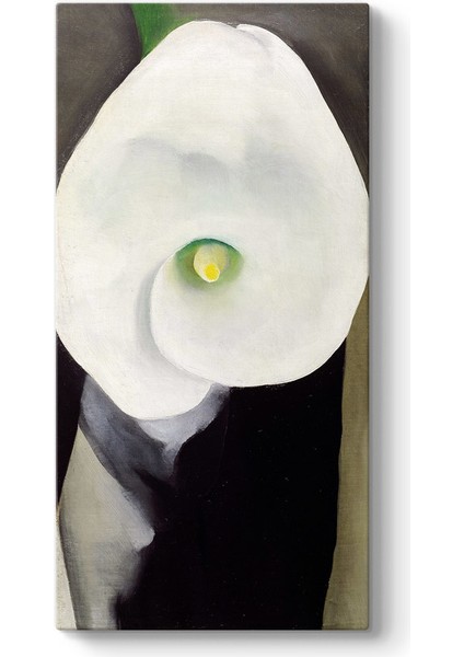 Georgia Okeeffe - Calla Lily For Alfred Tablosu
