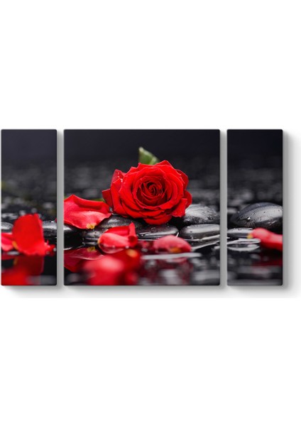 Kırmızı Gül ve Yaprakları Tablosu