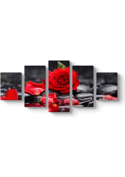 Kırmızı Gül ve Yaprakları Tablosu