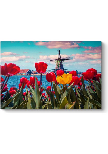 Laleler ve Yel Değirmeni Tablosu