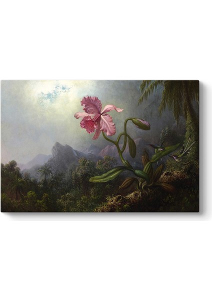 Martin Johnson Heade - Sinek Kuşları ve Orkide Tablosu