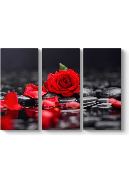 Kırmızı Gül ve Yaprakları Tablosu