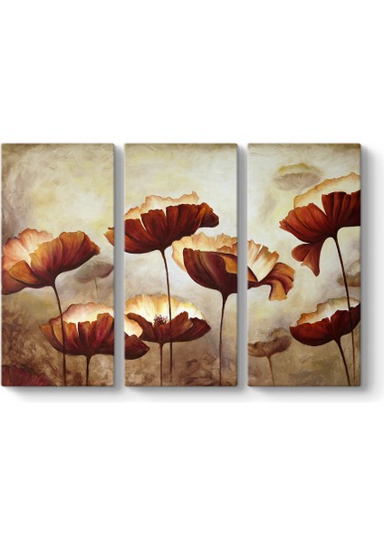 Boyama Gelincikler Tablosu