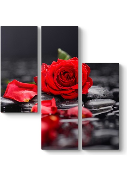 Kırmızı Gül ve Yaprakları Tablosu
