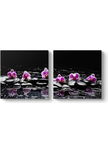 Siyah Taşlar ve Orkideler Tablosu