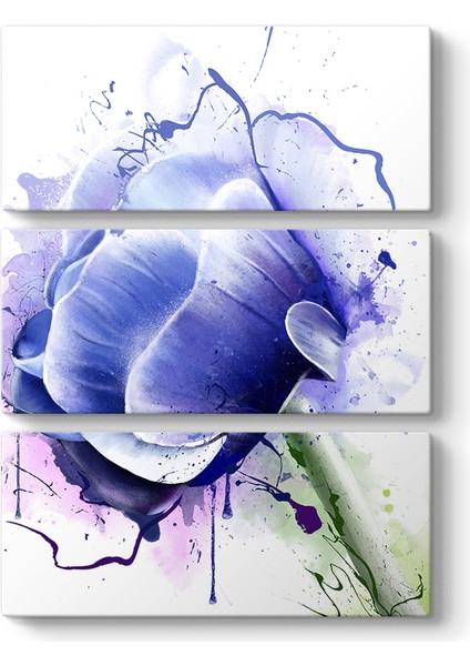 Anemone Çiçeği Tablosu