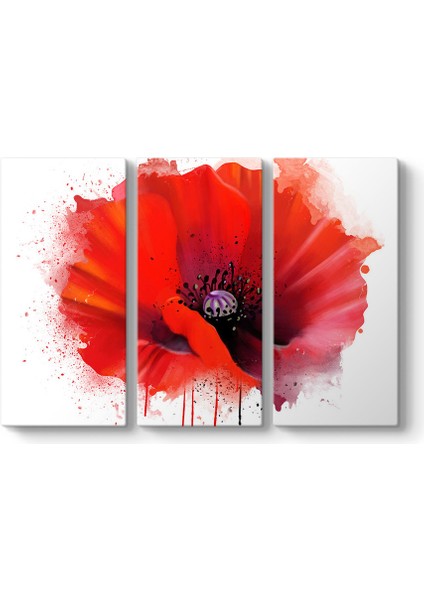 Vektörel Gelincik Tablosu