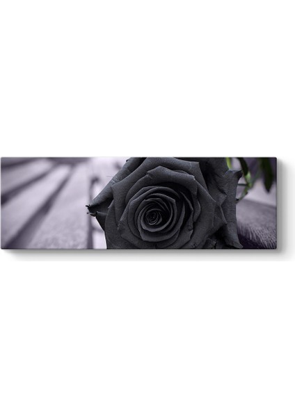 Siyah Gül Tablosu