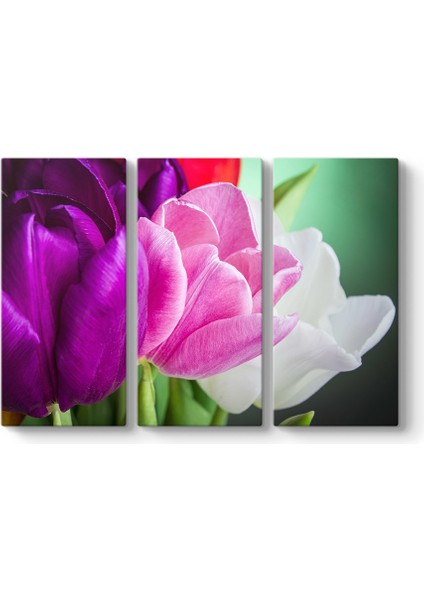 Aranjman Laleler Tablosu