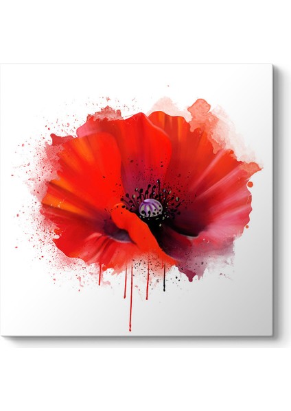 Vektörel Gelincik Tablosu