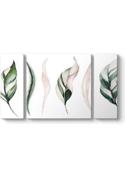 Soft Yapraklar Tablosu