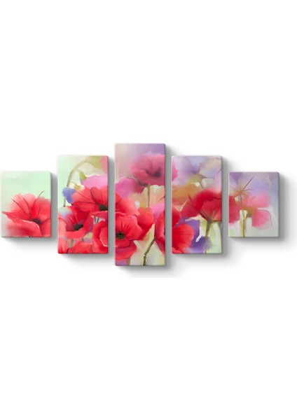 Soft Gelincikler Tablosu