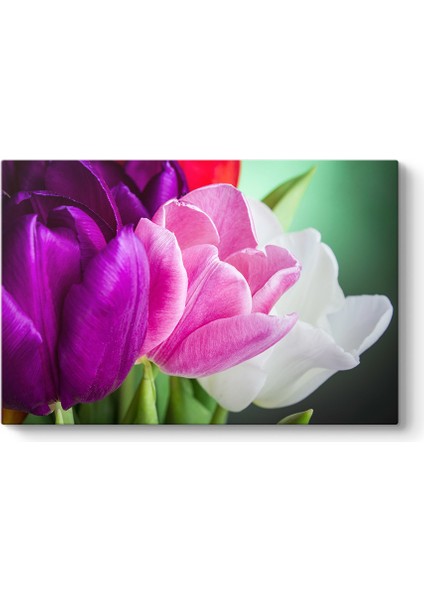 Aranjman Laleler Tablosu