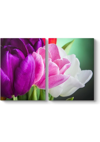 Aranjman Laleler Tablosu