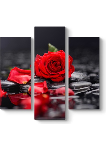Kırmızı Gül ve Yaprakları Tablosu