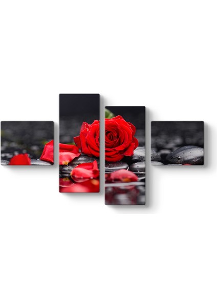 Kırmızı Gül ve Yaprakları Tablosu