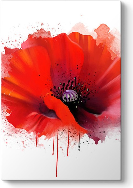 Vektörel Gelincik Tablosu