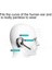 Çok Işlevli Kablosuz Bluetooth Kulaklık Stereo Handfree (Yurt Dışından) 3