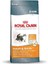 Royal Canin Hair Skin Hassas Tüylü Kediler Için Mama 4 kg 3
