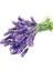 Lavanta Lavandula Angustifolia Tohumu -10 Gram 1