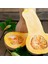Tacirdepoticaret Özel Waltham Butternut Balkabağı Tohumu -5 Adet 1