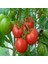 Tacirdepoticaret Sofralık Beefsteak Domates Tohumu -20 Tohum 1