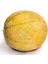 Tacirdepoticaret Kokulu Ananas Kavun Tohumu -10 Gram 1