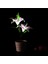 Açık Güneş Bahçe Pembe Zambak Çiçek Işıkları Dekoratif Bahçe Yard Işıkları 2-Led Pembe Lily (Yurt Dışından) 2