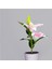 Açık Güneş Bahçe Pembe Zambak Çiçek Işıkları Dekoratif Bahçe Yard Işıkları 2-Led Pembe Lily (Yurt Dışından) 3