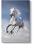 Koşan Yalnız At Tablosu 1