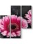 Gerbera Çiçeği Tablosu 1