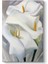 Georgia Okeeffe - Flower Tablosu 1