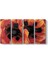 Georgia Okeeffe - Oriental Poppies Tablosu 1