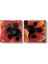 Georgia Okeeffe - Oriental Poppies Tablosu 1