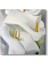 Georgia Okeeffe - Flower Tablosu 1