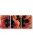 Georgia Okeeffe - Oriental Poppies Tablosu 1