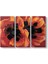 Georgia Okeeffe - Oriental Poppies Tablosu 1